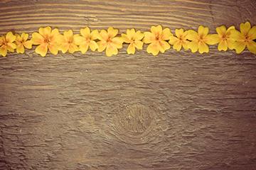 Small Yellow Flower Texture Background Thanksgiving Theme Backdrops IBD-19684